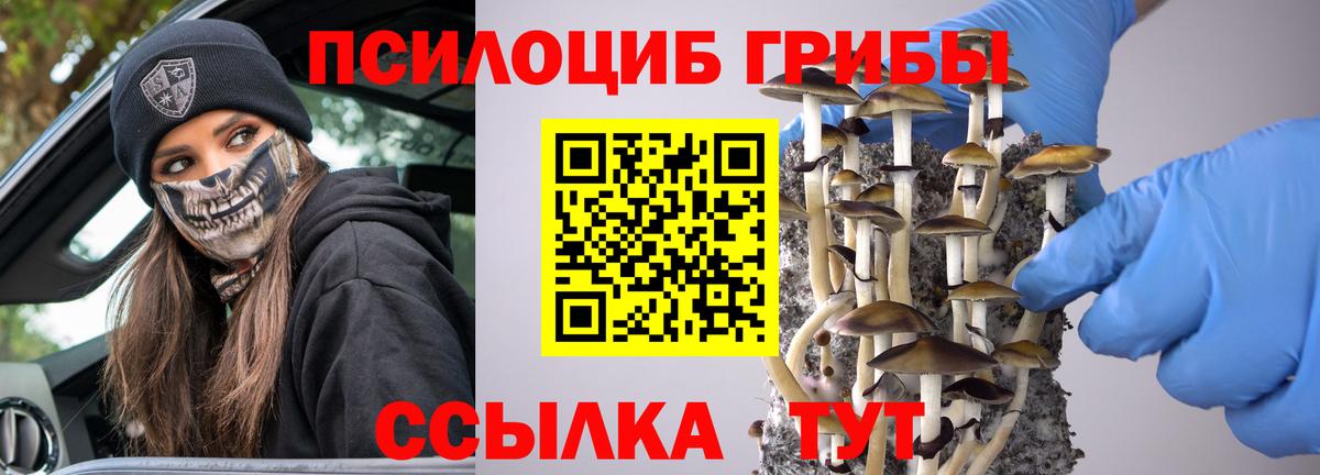 Псилоцибиновые грибы Psilocybe Первоуральск
